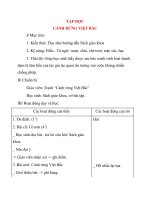 Giáo án lớp 4: TẬP ĐỌC CẢNH RỬNG VIỆT BẮC pps