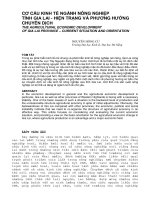 Báo cáo nghiên cứu khoa học: 