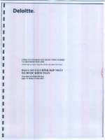 công ty cổ phần xây dựng công nghiệp dân dụng dầu khí báo cáo tài chính hợp nhất được kiểm toán cho năm tài chính kết thúc ngày 31 tháng 12 năm 2013