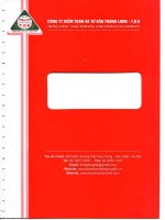 báo cáo tài chính hợp nhất công ty cổ phần xây dựng 47 cho năm tài chính 2011 kết thúc ngày 31 tháng 12 năm  2011 công ty kiểm toán và tư vấn thăng long t d k THANG LONG t d k AUDITING AND CONSULTANT COMPANY