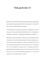 Viêm gan do siêu vi C pptx