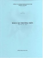 báo cáo thường niên công ty cổ phần hàng hải hà nội hanoi maritime holding company marina hanoi năm 2013