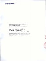 ngân hàng thương mại cổ phần đầu tư và phát triên việt nam báo cáo tài chính riêng được kiểm toán cho năm tài chính kết thúc ngày 31 tháng 12 năm 2013