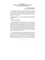 Giáo trình chủ thể kinh doanh - Chương 1 ppt