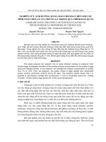 Báo cáo nghiên cứu khoa học: 