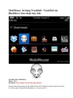 MobiMouse Sử dụng TrackBall - TrackPad của BlackBerry làm chuột máy tính pdf