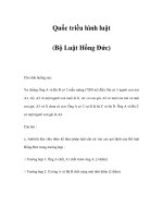 Quốc triều hình luật (Bộ Luật Hồng Đức) pot