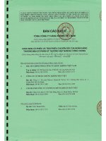 BẢN cáo BẠCH TỔNG CÔNG TY HÀNG KHÔNG VIỆT NAM CHÀO bán cổ PHIẾU và TRÁI PHIẾU CHUYỂN đổi của NGÂN HÀNG THƯƠNG mại cổ PHẦN kỹ THƯƠNG VIỆT NAM RA CÔNG CHÚNG