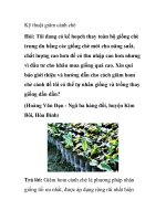 Kỹ thuật giâm cành chè doc