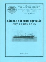 CÔNG TY cổ PHẦN vận tải và THUÊ tàu BIỂN VIỆT NAM báo cáo tài chính hợp nhất qúy II năm 2013