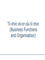 Tổ chức và cơ cấu tổ chức (Business Functions and Organisation) pps