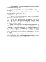 Giáo trình phân tích khả năng ứng dụng kiểm toán trong hạch toán kinh tế nhiều thành phần p3 pot