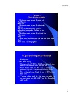 Giáo trình - Thức ăn chăn nuôi - chương 3 pps