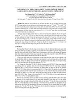 Báo cáo nghiên cứu khoa học: 