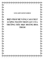 skkn biện pháp để nâng cao chất lượng nguồn nhân lực của trường tiểu học hoàng hoa thám