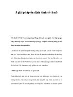 5 giải pháp ổn định kinh tế vĩ mô doc
