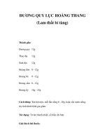 ĐƯƠNG QUY LỤC HOÀNG THANG (Lam thất bí tàng) pps