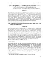 Báo cáo nghiên cứu khoa học: 