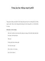 Tăng áp lực động mạch phổi pps