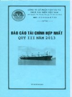 CÔNG TY cổ PHẦN vận tải và THUÊ tàu BIỂN VIỆT NAM báo cáo tài chính hợp nhất qúy III năm 2013