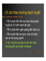 Giải phẫu bệnh - Ung thư part 4 docx