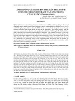 Báo cáo nghiên cứu khoa học: 