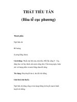 THẤT TIẾU TÁN (Hòa tễ cục phương) ppsx