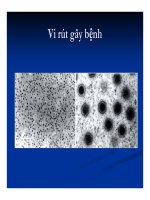 Bệnh học thủy sản : Bệnh do virus part 4 doc