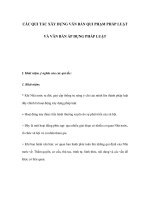 CÁC QUI TẮC XÂY DỰNG VĂN BẢN QUI PHẠM PHÁP LUẬT VÀ VĂN BẢN ÁP DỤNG PHÁP LUẬT pot