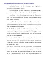 Đầu tư của các nước NIES và tác động đến FDI vào Việt Nam - 7 ppt