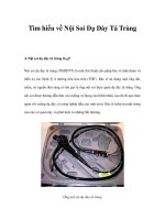 Tìm hiểu về Nội Soi Dạ Dày Tá Tràng ppsx