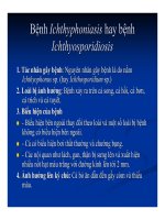 Bệnh học thủy sản : Bệnh do nấm part 5 pot