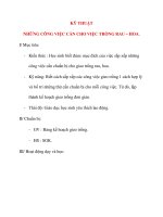 Giáo án lớp 4: KỸ THUẬT NHỮNG CÔNG VIỆC CẦN CHO VIỆC TRỒNG RAU – HOA. pps