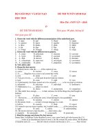ĐỀ THI TUYỂN SINH ĐẠI Môn Thi: ANH VĂN pps