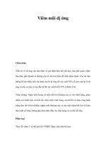 Viêm mũi dị ứng docx