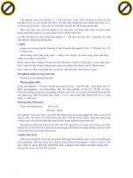 Giáo trình hướng dẫn phân tích những tế bào sợi chun ở thanh quản hệ thống tiêu hóa p10 ppsx