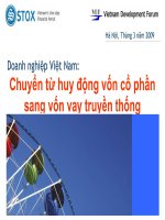 Thuyết trình doanh nghiệp việt nam chuyển từ huy động vốn cổ phần sang vốn vay truyền thống