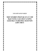 skkn một số biện pháp quản lý chỉ đạo nâng cao chất lượng giáo dục ở trường mầm non liên thủy