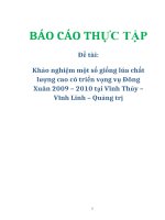 Đề tài: Khảo nghiệm một số giống lúa chất lượng cao có triển vọng vụ Đông Xuân 2009 – 2010 tại Vĩnh Thủy – Vĩnh Linh – Quảng trị ppt