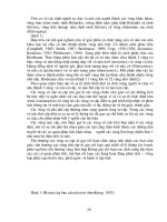 Tập tính và cảm xúc part 5 pdf