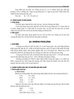 Giáo trình phân tích khả năng ứng dụng tính chất cơ lý của vật liệu xây dựng trong đổ móng công trình p10 ppsx