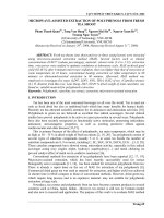 Báo cáo nghiên cứu khoa học: 