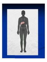 Giải phẫu bênh - Ung thư phổi và ung thư thận part 5 pptx