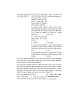 Thiết kế bài giảng lịch sử 10 tập 2 part 7 ppt