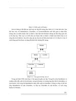 Giáo trình phân tích quy trình nghiên cứu tạo ra những kiểu dữ liệu mới đa hình p2 pdf