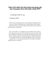 Giáo trình phân tích khả năng ứng dụng cấu tạo trong giao thức kết tuyến chuẩn IETF p1 pptx
