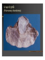 Giải phẫu bệnh - U biểu mô, U liên kết part 7 ppsx