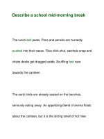 Describe a school mid-morning break docx