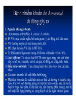 Bệnh học thủy sản : Bệnh do vi khuẩn part 1 potx