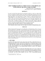 Báo cáo nghiên cứu khoa học: 